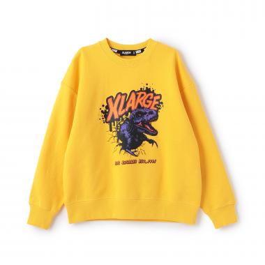 ダイナソートレーナー