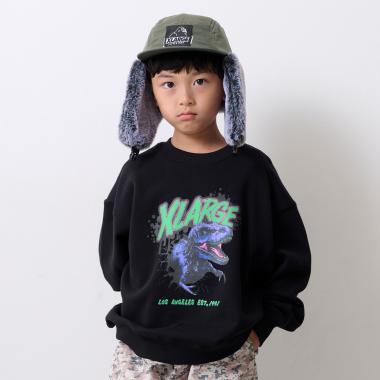 ダイナソートレーナー