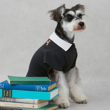 【DOG】【接触冷感】ポロ衿配色Tシャツ