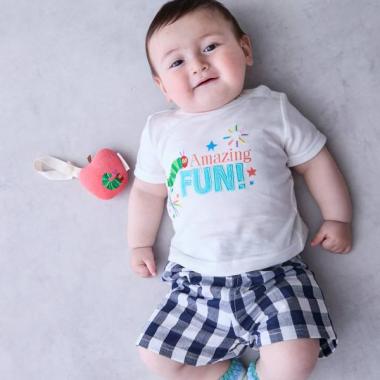 【はらぺこあおむし】アソートセットアップ