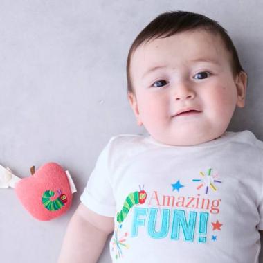 【はらぺこあおむし】フルーツラトル