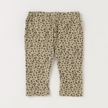 アソートレギンス