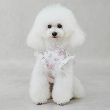 【DOG】【SWIM】肩フリル柄タンク