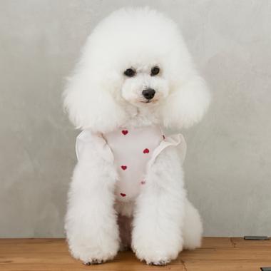 【DOG】【SWIM】肩フリル柄タンク