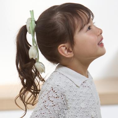 アソートシュシュ