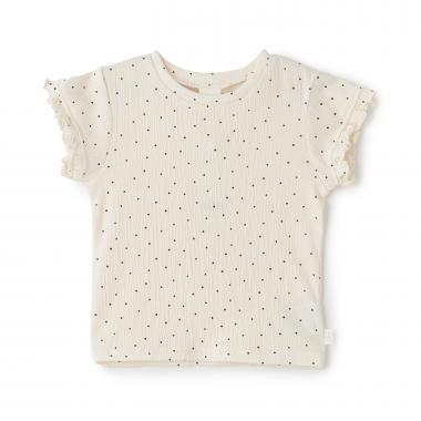 カット楊柳Tシャツ