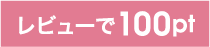 レビュー100ポイント