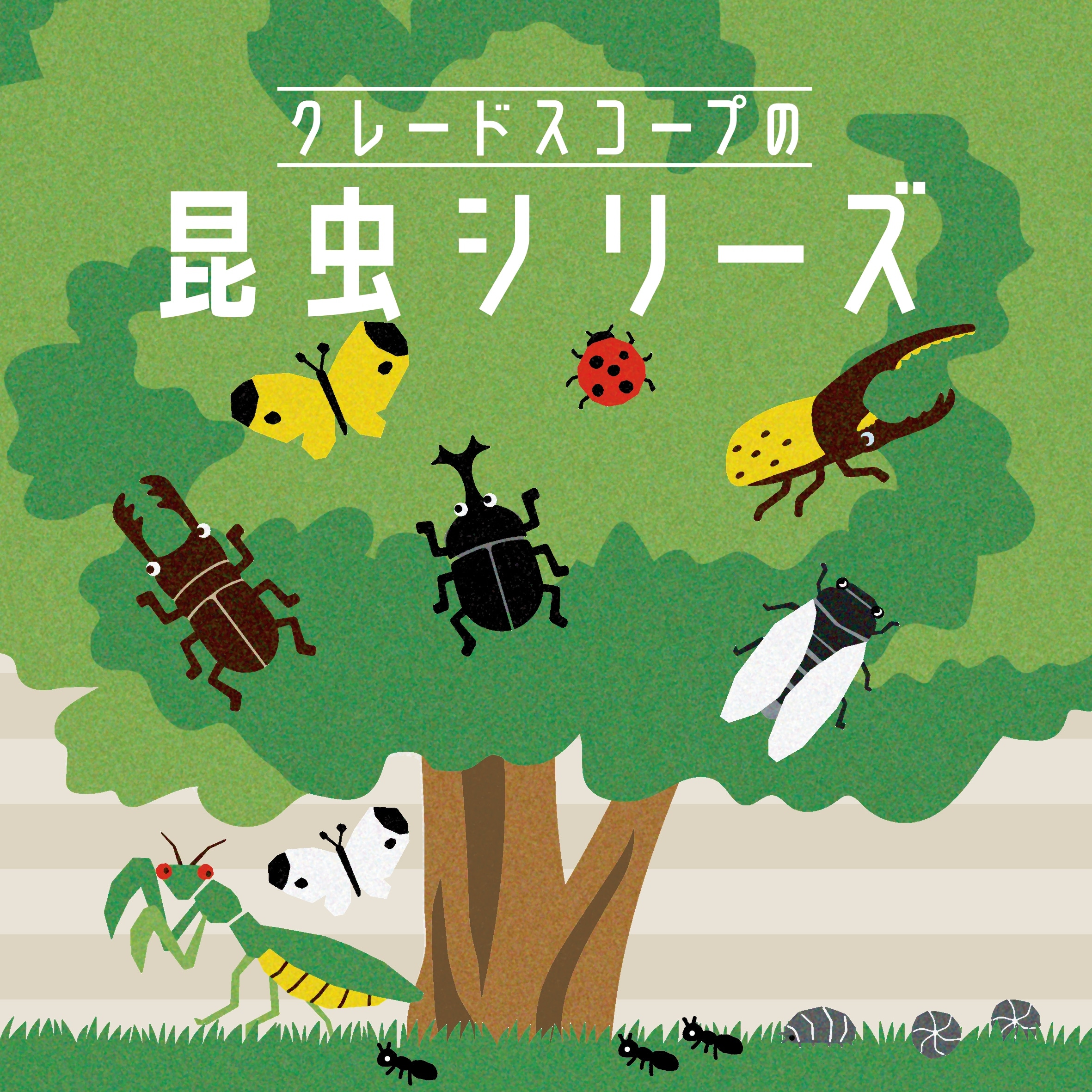 【6/5(金)発売】クレードスコープよりKIDSの知的好奇心をくすぐる『昆虫シリーズ』が登場♪