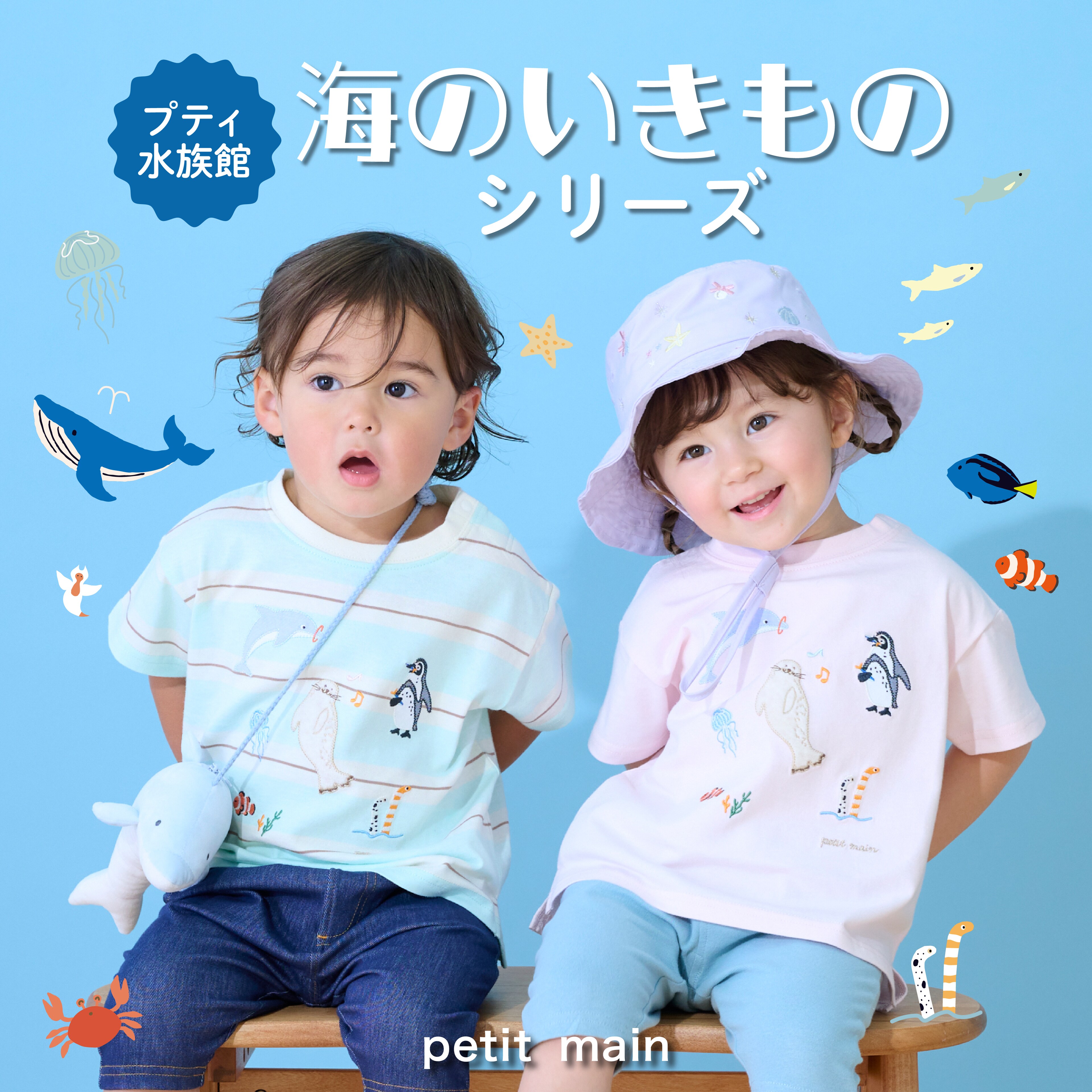 プティ水族館_海のいきものシリーズ